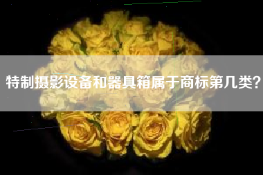 特制摄影设备和器具箱属于商标第几类？