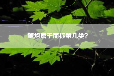 鞭炮属于商标第几类？