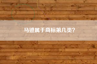 马镫属于商标第几类？