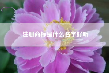 注册商标是什么名字好听