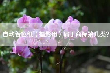 自动着色纸（摄影用）属于商标第几类？