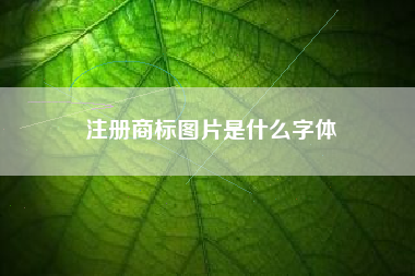 注册商标图片是什么字体