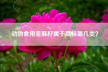 动物食用亚麻籽属于商标第几类？