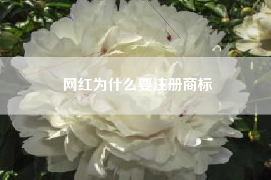 网红为什么要注册商标