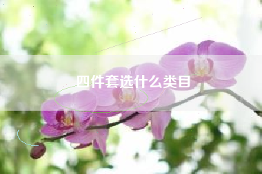 四件套选什么类目
