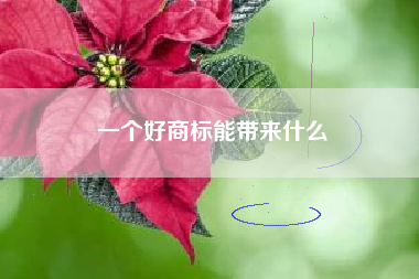 一个好商标能带来什么