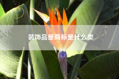装饰品是商标是什么类