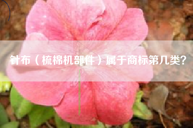 针布（梳棉机部件）属于商标第几类？