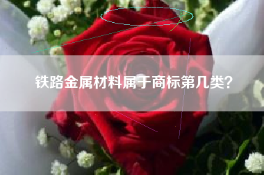 铁路金属材料属于商标第几类？
