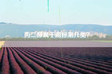 丙二醇属于商标第几类？