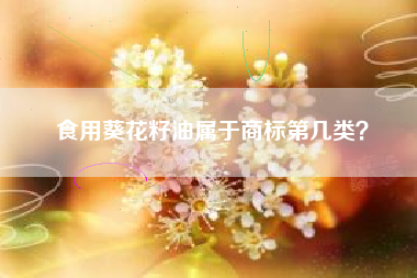 食用葵花籽油属于商标第几类？