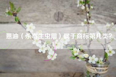 蒽油（杀寄生虫用）属于商标第几类？