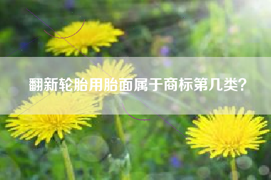翻新轮胎用胎面属于商标第几类？