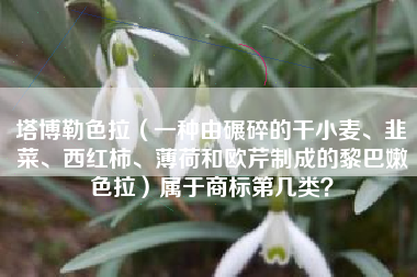 塔博勒色拉（一种由碾碎的干小麦、韭菜、西红柿、薄荷和欧芹制成的黎巴嫩色拉）属于商标第几类？