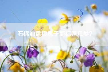 石棉油盘根属于商标第几类？