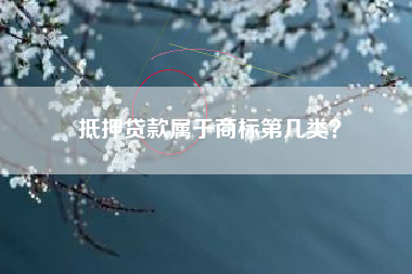 抵押贷款属于商标第几类？