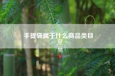 手提袋属于什么商品类目