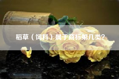 稻草（饲料）属于商标第几类？