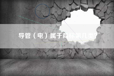 导管（电）属于商标第几类？