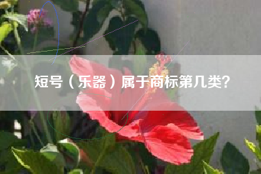 短号（乐器）属于商标第几类？