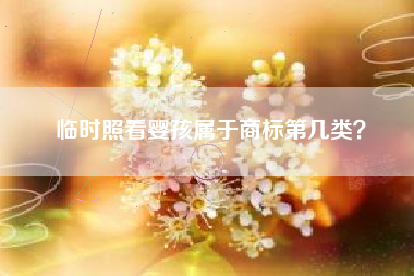 临时照看婴孩属于商标第几类？