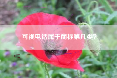 可视电话属于商标第几类？