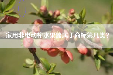 家用非电动榨水果器属于商标第几类？