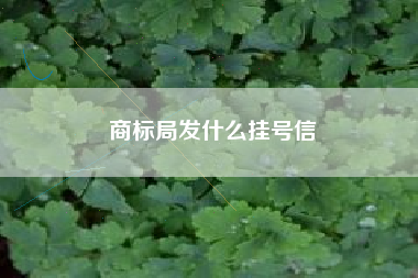 商标局发什么挂号信