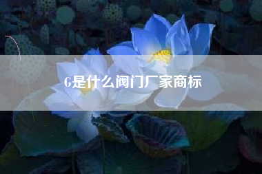 G是什么阀门厂家商标