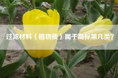 过滤材料（植物质）属于商标第几类？