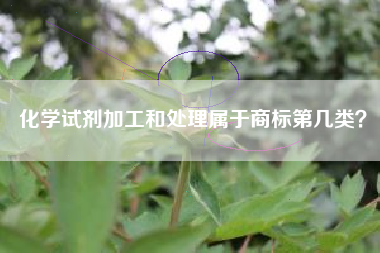 化学试剂加工和处理属于商标第几类？
