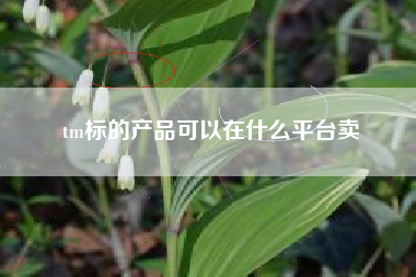 tm标的产品可以在什么平台卖