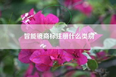 智能镜商标注册什么类别