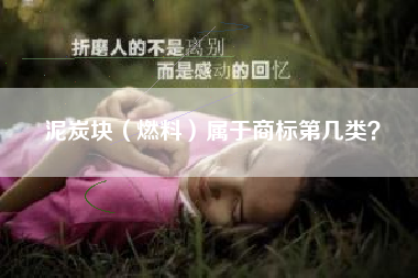 泥炭块（燃料）属于商标第几类？