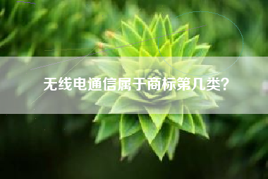 无线电通信属于商标第几类？
