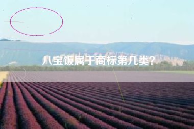 八宝饭属于商标第几类？