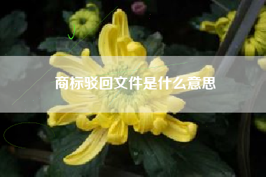 商标驳回文件是什么意思