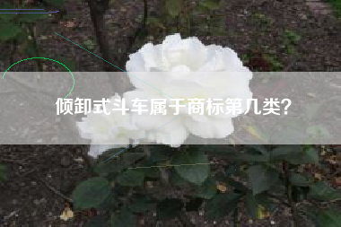 倾卸式斗车属于商标第几类？