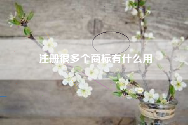 注册很多个商标有什么用