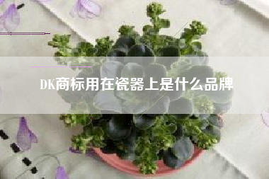 DK商标用在瓷器上是什么品牌