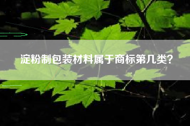 淀粉制包装材料属于商标第几类？