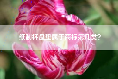 纸制杯盘垫属于商标第几类？