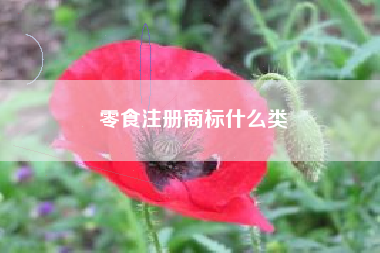 零食注册商标什么类