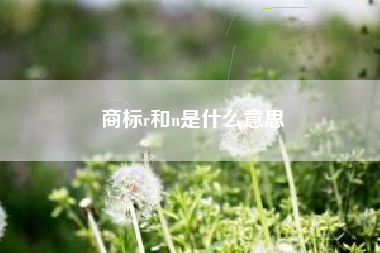 商标r和n是什么意思
