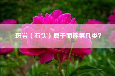 斑岩（石头）属于商标第几类？