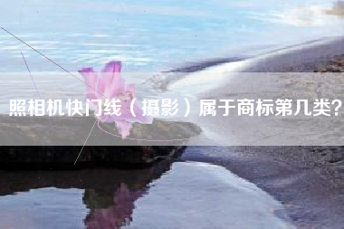照相机快门线（摄影）属于商标第几类？