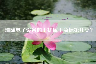 清除电子设备的干扰属于商标第几类？