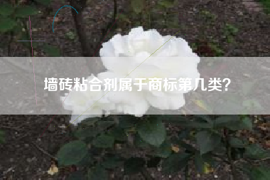 墙砖粘合剂属于商标第几类？