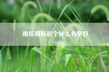 南瓜商标起个什么名字好