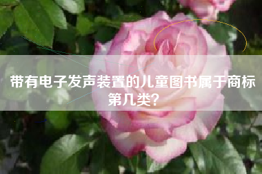 带有电子发声装置的儿童图书属于商标第几类？